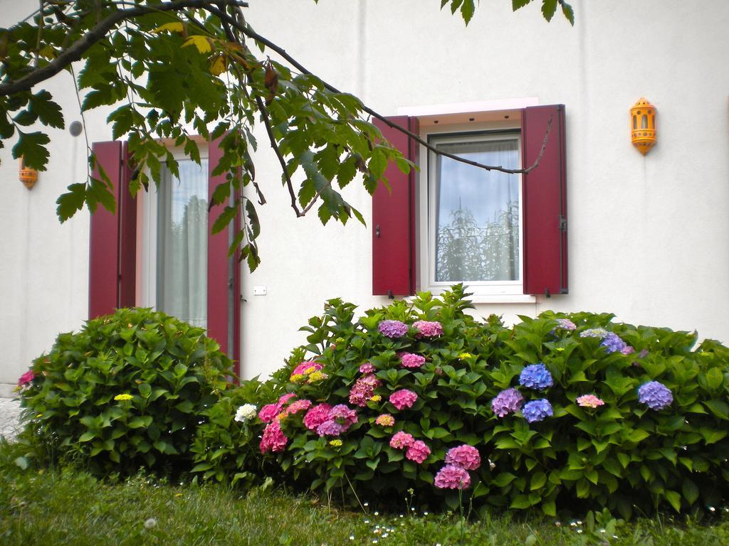 Agriturismo Il Magicorto Cassola Habitación foto